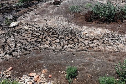 就地掩埋處置 就地掩埋處置
