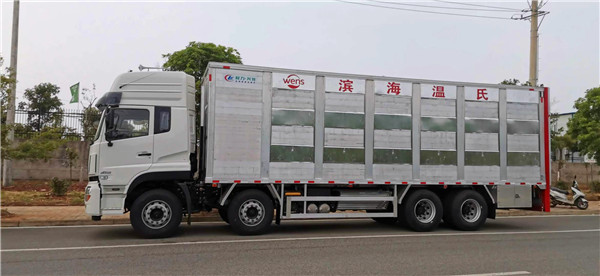 天龍前四后八運豬車