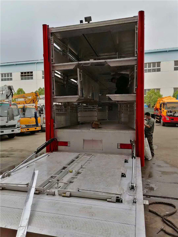 天龍前四后八運豬車